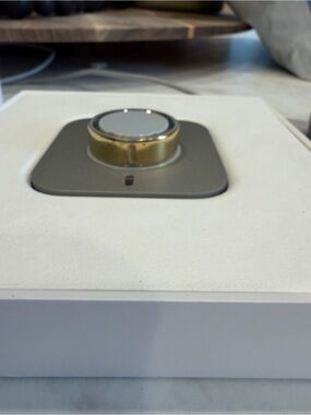 Oura Gold size 11 ring.